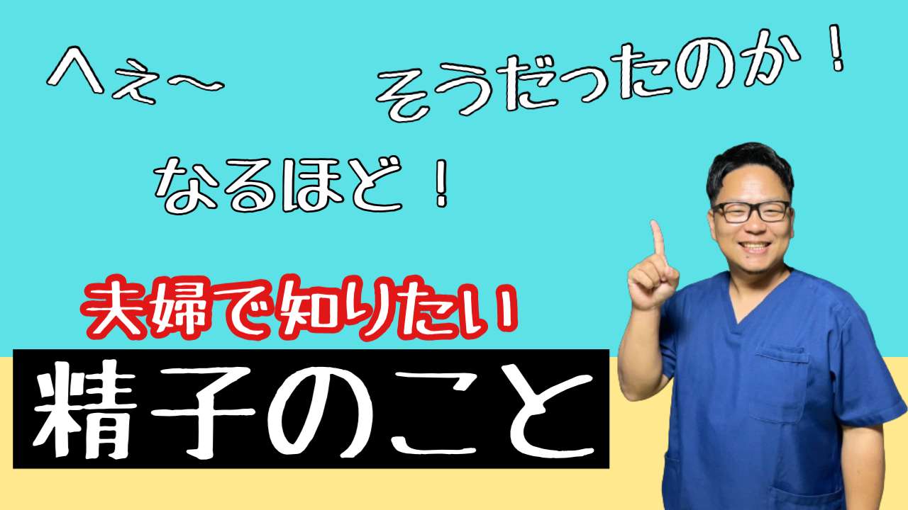 精子の話【妊娠力を夫婦で高める専門整体　鍼灸サロンC'zカラダLab】