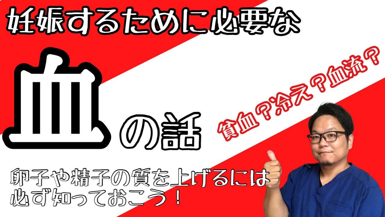 妊活に大切な「血」の話【西宮・夙川の妊娠力を夫婦で高める専門整体　鍼灸サロンC'zカラダLab】