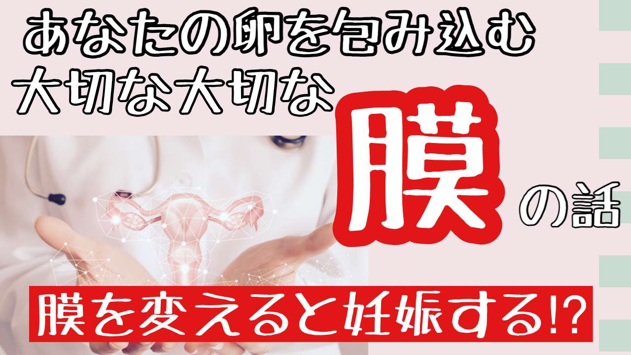 妊活に大切な細胞膜の話【西宮・夙川の妊娠力を夫婦で高める専門整体　鍼灸サロンC'zカラダLab】