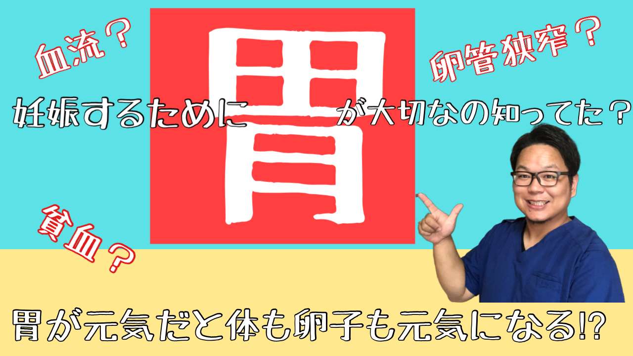 妊娠するために胃を調整しよう！【西宮・夙川の妊娠力を夫婦で高める専門整体　鍼灸サロンC'zカラダLab】