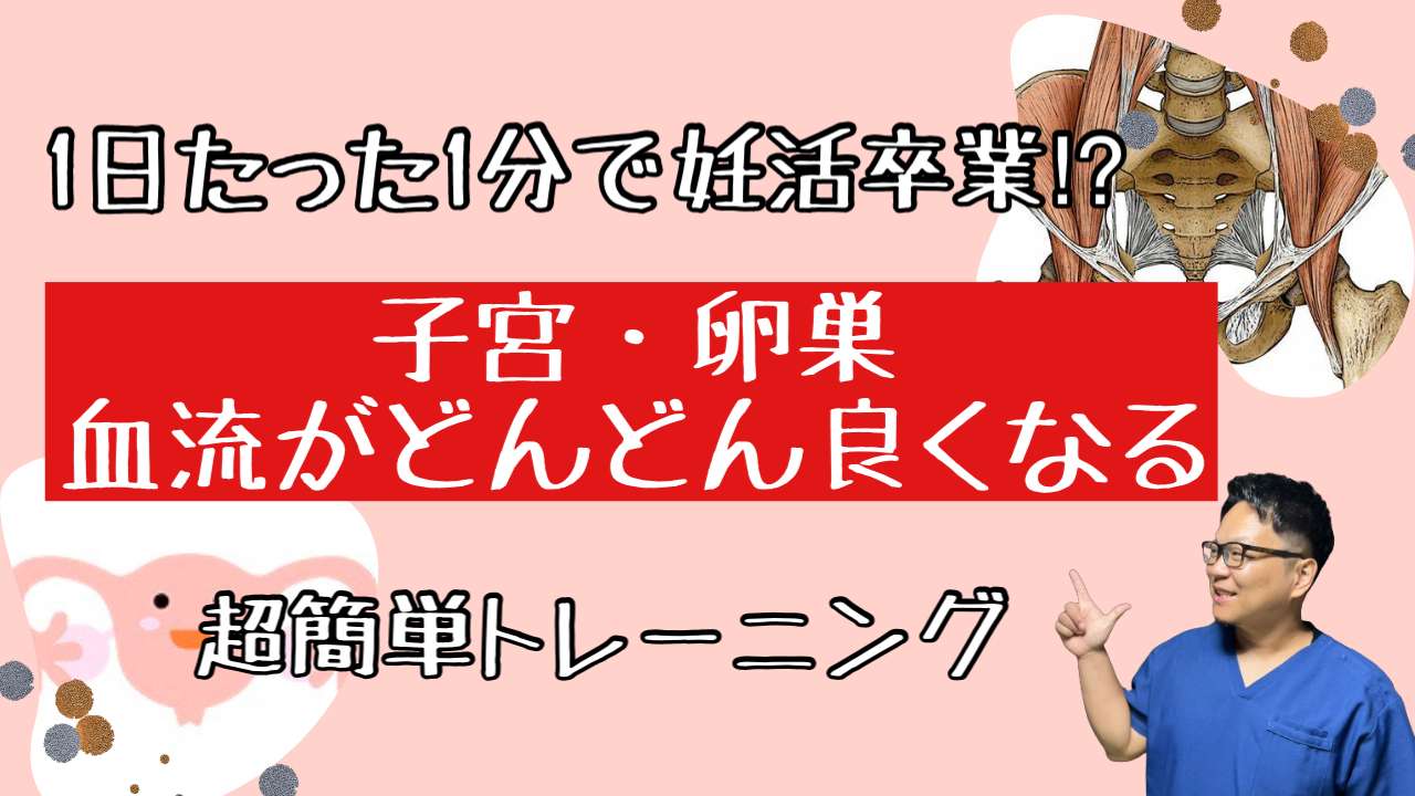 妊活を卒業する！卵巣の血流アップトレーニング！【西宮・夙川の妊娠力を夫婦で高める専門整体　鍼灸サロンC'zカラダLab】