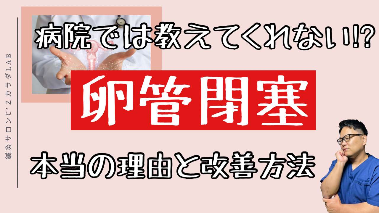 不妊治療クリニックで卵管が狭いと言われたら【西宮・夙川の妊娠力を夫婦で高める専門整体　鍼灸サロンC'zカラダLab】