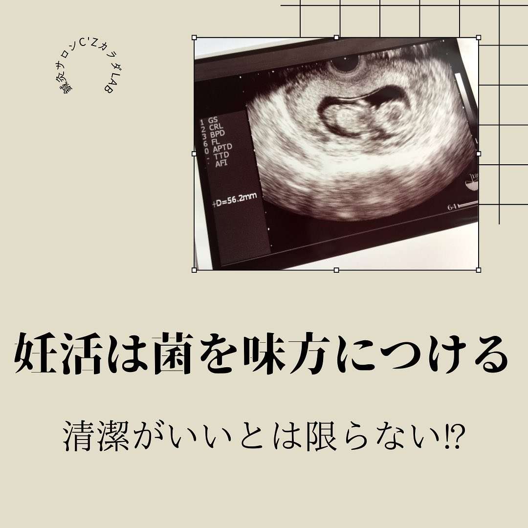 菌を味方にして妊娠する！【西宮・夙川の妊娠力を夫婦で高める専門整体　鍼灸サロンC'zカラダLab】