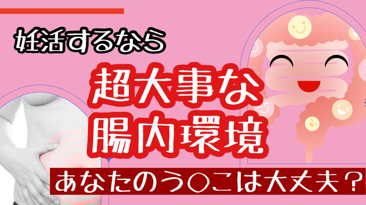 妊活と腸内環境【西宮・夙川の妊娠力を夫婦で高める専門整体　鍼灸サロンC'zカラダLab】