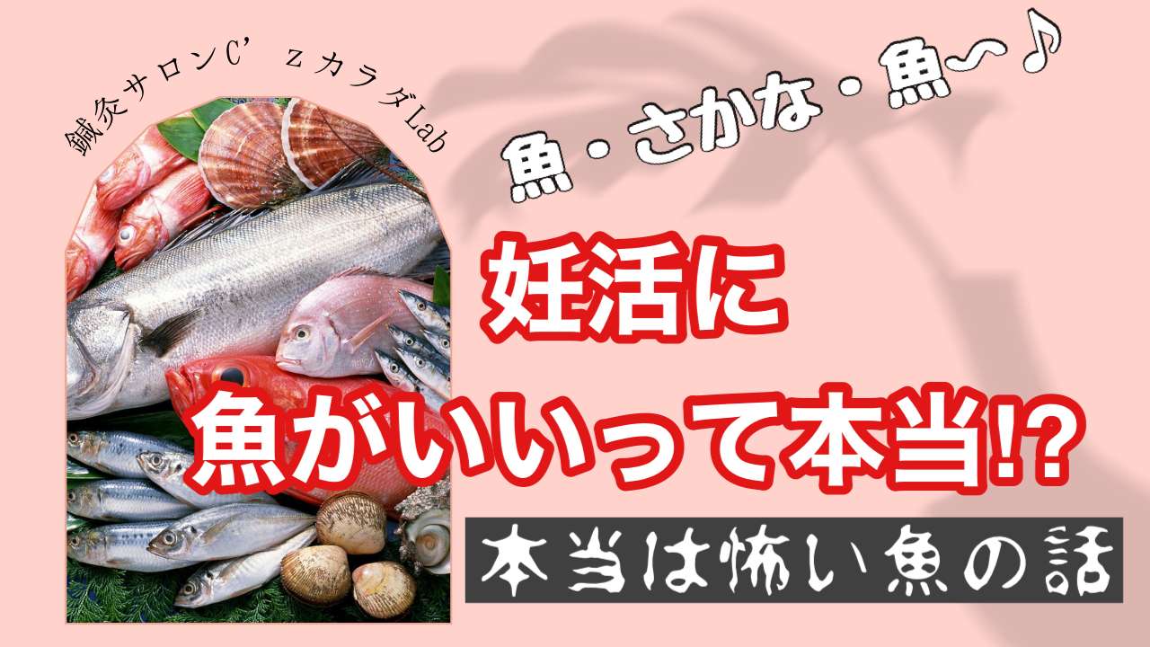 妊活に魚は本当にいいの？【西宮・夙川の妊娠力を夫婦で高める専門整体　鍼灸サロンC'zカラダLab】