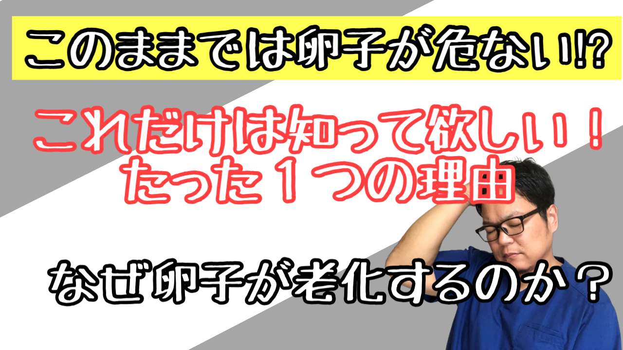 質のいい卵子を作る方法【西宮・夙川の妊娠力を夫婦で高める専門整体　鍼灸サロンC'zカラダLab】