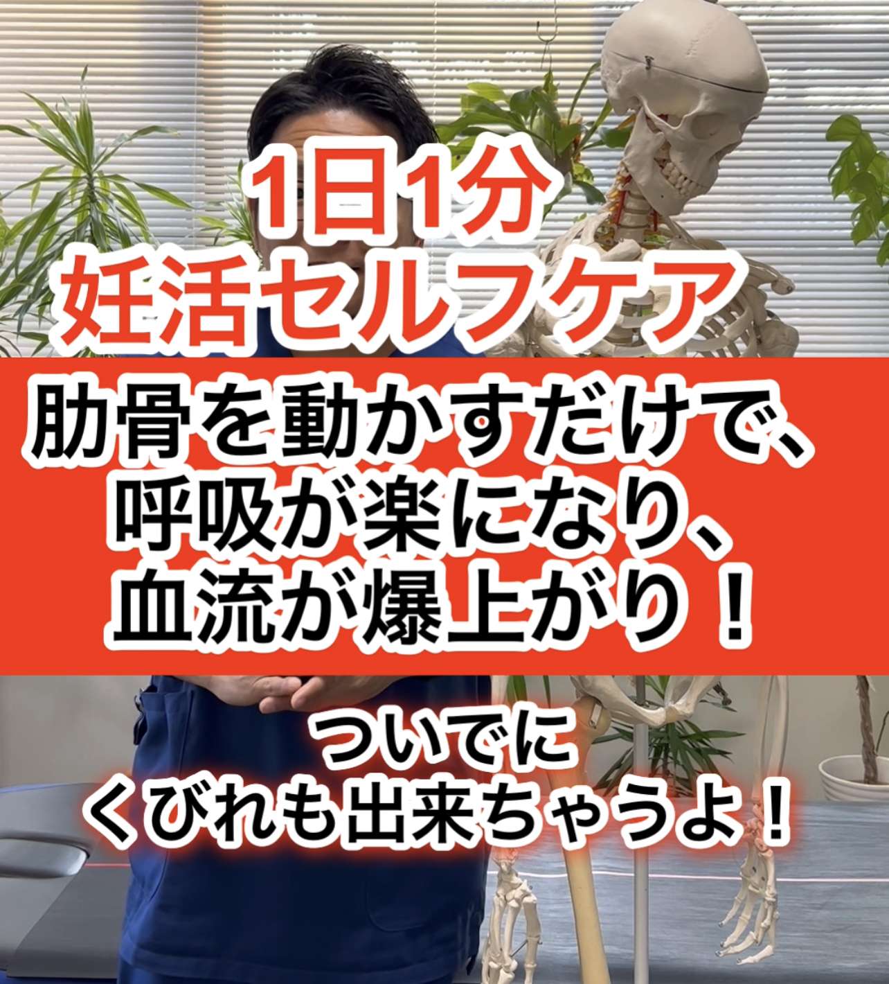 妊活セルフケア「肋骨を緩めて呼吸を深くする」【西宮・夙川の妊娠力を夫婦で高める専門院　子宝整体鍼灸サロンC'zカラダLab】